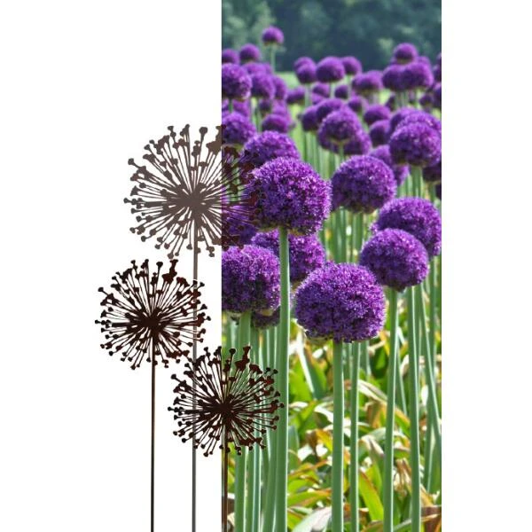 Allium Ø 30 Cm - Decoroest 3 Allium Ø 30 Cm - Decoroest
