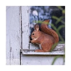 Rode Eekhoorn In Lindenhout - Handgemaakt 7 Rode Eekhoorn In Lindenhout - Handgemaakt -Oasis Winkel 1611328813 3 600