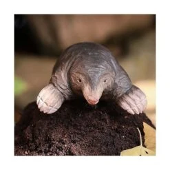 Europese Mol In Lindenhout - Handgemaakt -Oasis Winkel 1611665886 3 600