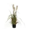 Kunstplant Pluimgras Foxtail In Pot - 45 × 80 Cm 1 Kunstplant Pluimgras Foxtail In Pot - 45 × 80 Cm -Oasis Winkel 1633703130 1 600