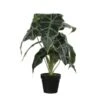 Kunstplant Alocasia In Pot - 30 × 50 Cm 1 Kunstplant Alocasia In Pot - 30 × 50 Cm -Oasis Winkel 1633703190 1 600