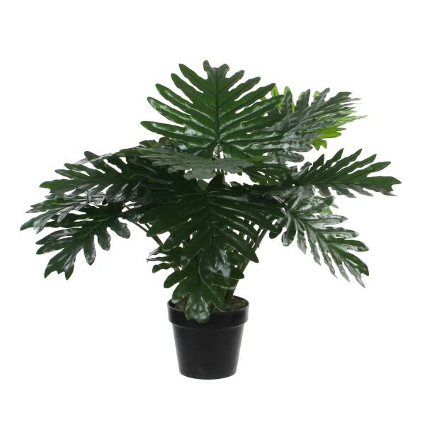 Kunstplant Philodendron In Pot - 80 × 60 Cm 3 Kunstplant Philodendron In Pot - 80 × 60 Cm