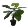 Kunstplant Taro In Pot - 60 × 60 Cm 2 Kunstplant Taro In Pot - 60 × 60 Cm -Oasis Winkel 1633948437 1 600
