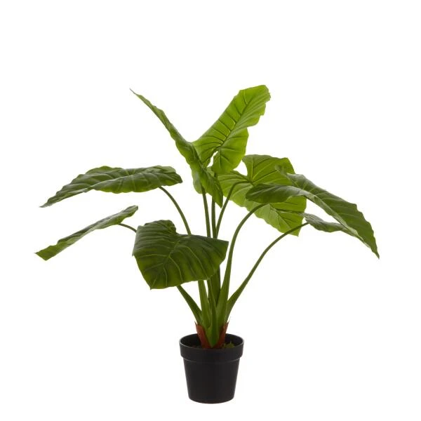 Kunstplant Taro In Pot - 100 × 100 Cm 3 Kunstplant Taro In Pot - 100 × 100 Cm