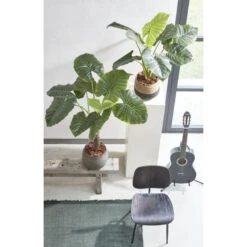 Kunstplant Taro In Pot - 100 × 100 Cm 9 Kunstplant Taro In Pot - 100 × 100 Cm -Oasis Winkel 1633950872 3 600