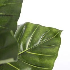 Kunstplant Taro In Pot - 100 × 100 Cm 10 Kunstplant Taro In Pot - 100 × 100 Cm -Oasis Winkel 1633950872 4 600