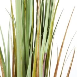 Kunstplant Lisdodde In Pot - 12,5 × 90 Cm 10 Kunstplant Lisdodde In Pot - 12,5 × 90 Cm -Oasis Winkel 1633951467 4 600