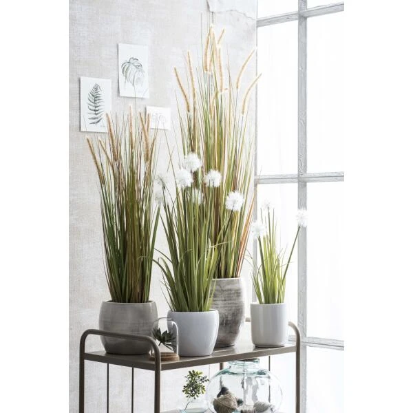 Kunstplant Pluimgras Dogtail In Pot - 35 × 92 Cm 5 Kunstplant Pluimgras Dogtail In Pot - 35 × 92 Cm - Afbeelding 3