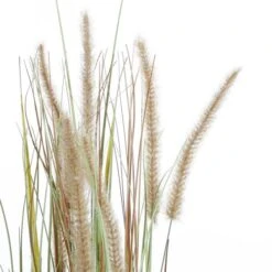 Kunstplant Pluimgras Dogtail In Pot - 35 × 92 Cm 12 Kunstplant Pluimgras Dogtail In Pot - 35 × 92 Cm -Oasis Winkel 1633956287 1 600