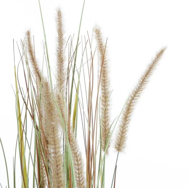Kunstplant Pluimgras Dogtail In Pot - 35 × 92 Cm 7 Kunstplant Pluimgras Dogtail In Pot - 35 × 92 Cm - Afbeelding 5