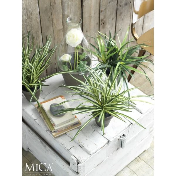 Kunstplant Dracaena In Pot Grijs - 40 × 34 Cm 3 Kunstplant Dracaena In Pot Grijs - 40 × 34 Cm - Afbeelding 2