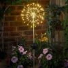 Tuinlicht Star Burst Stake - Solar 2 Tuinlicht Star Burst Stake - Solar -Oasis Winkel 1649854463 1 600