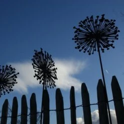 Allium Ø 30 Cm - Decoroest 10 Allium Ø 30 Cm - Decoroest -Oasis Winkel allium 30 cm decoroest 1512145830 2 600