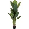 Bananenplant Kunststof - 165 Cm 2 Bananenplant Kunststof - 165 Cm -Oasis Winkel bananenplant kunststof 165 cm 1569827894 1 600