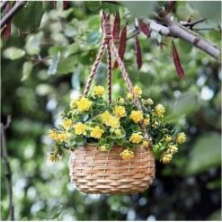 Bloemenmand Hangend - Kunststof -Oasis Winkel bloemenmand hangend kunststof 1539085635 3 600