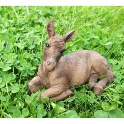 Ezel Veulen Liggend - Levensecht