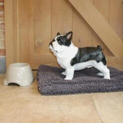 Franse Bulldog Tuinbeeld -Oasis Winkel franse buldog 1569511065 1 600
