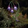 Fuchsia Als Solar Tuinlamp 1 Fuchsia Als Solar Tuinlamp -Oasis Winkel fuchsia als solar tuinlamp 1527684539 2 600