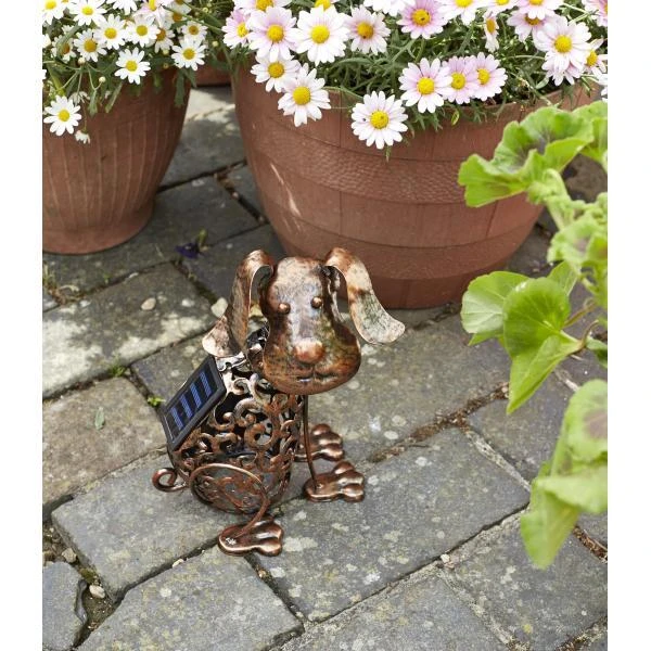 Hond Met Wiebelkop En Solarverlichting 4 Hond Met Wiebelkop En Solarverlichting - Afbeelding 2