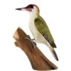 Houten Vogel - Groene Specht 1 Houten Vogel - Groene Specht -Oasis Winkel houten groene specht 1484053594 1 600