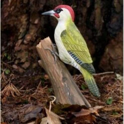 Houten Vogel - Groene Specht 5 Houten Vogel - Groene Specht -Oasis Winkel houten groene specht 1484053594 2 600