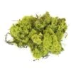 Ijslands Mos 150 G - Lichtgroen 2 Ijslands Mos 150 G - Lichtgroen -Oasis Winkel ijslands mos 150 g lichtgroen 1596545918 1 600