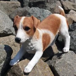 Speelse Jack Russel Levensecht Tuinbeeld -Oasis Winkel jack russel speels levensecht 1531395381 3 600
