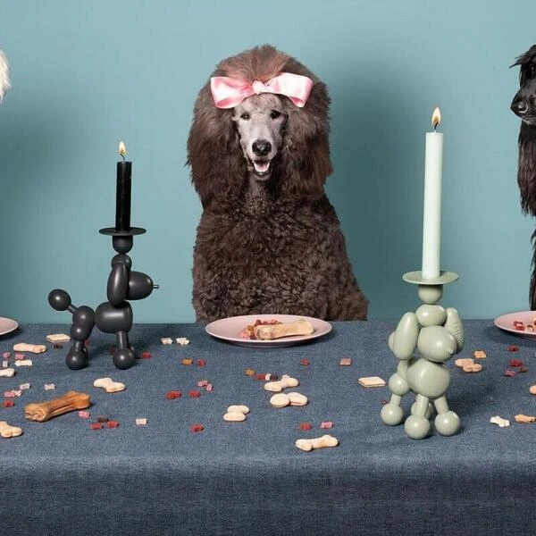 Kandelaar Fatboy® Can-Dolly - Design Antraciet 6 Kandelaar Fatboy® Can-Dolly - Design Antraciet - Afbeelding 4