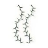 Kerstverlichting Compact 1500 Led Groen Met 5 Functies - 34 M 2 Kerstverlichting Compact 1500 Led Groen Met 5 Functies - 34 M -Oasis Winkel kerstverlichting 1500 led 34 m 1602146355 1 600