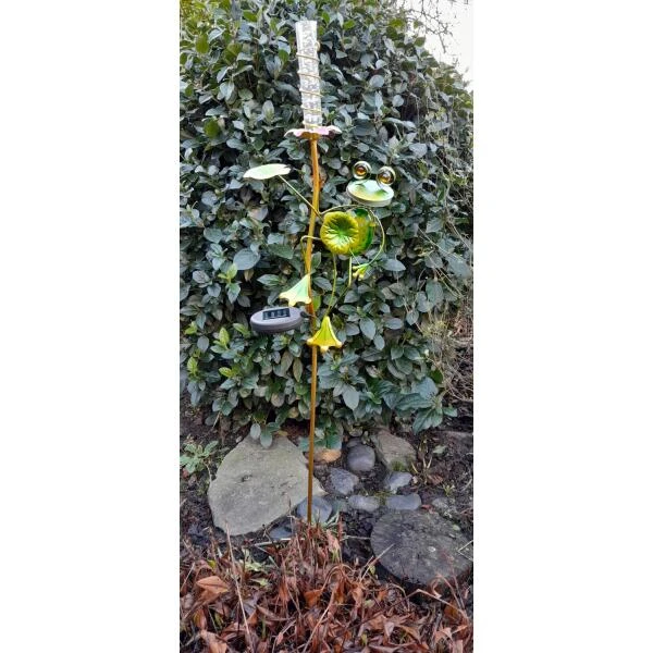 Kikker Met Solar Bloem 3 Kikker Met Solar Bloem - Afbeelding 2