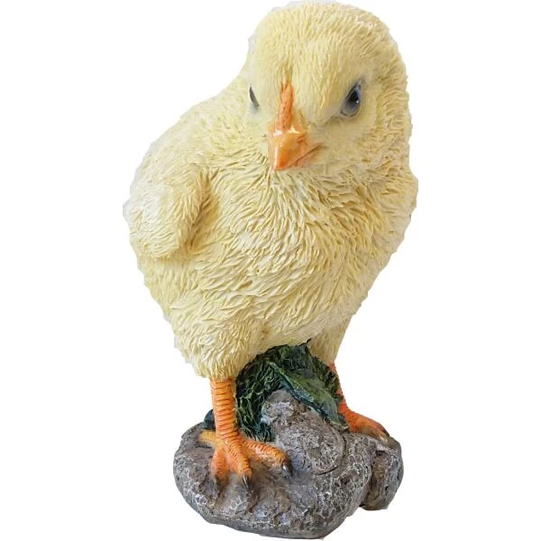 Kuikentje - Levensecht 3 Kuikentje - Levensecht