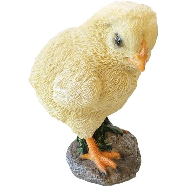 Kuikentje - Levensecht 4 Kuikentje - Levensecht - Afbeelding 2