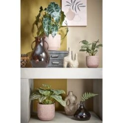 Kunstplant Alocasia In Pot - 30 × 50 Cm 7 Kunstplant Alocasia In Pot - 30 × 50 Cm -Oasis Winkel kunstplant alocasia 50 x 30 cm 1633945376 2 600