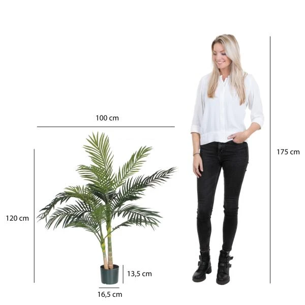 Kunstplant Areca Palm - 120 × 100 Cm 4 Kunstplant Areca Palm - 120 × 100 Cm - Afbeelding 2