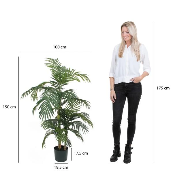 Kunstplant Areca Palm - 150 × 100 Cm 4 Kunstplant Areca Palm - 150 × 100 Cm - Afbeelding 2