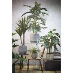 Kunstplant Areca Palm - 150 × 100 Cm 10 Kunstplant Areca Palm - 150 × 100 Cm -Oasis Winkel kunstplant areca palm 150 cm 1633945082 3 600