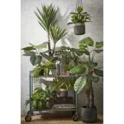 Kunstplant Philodendron In Pot - 80 × 60 Cm 9 Kunstplant Philodendron In Pot - 80 × 60 Cm -Oasis Winkel kunstplant philodendron 80 x 60 cm 1633945885 1 600