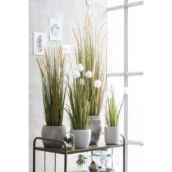 Kunstplant Pluimgras Dogtail In Pot - 45 × 120 Cm 7 Kunstplant Pluimgras Dogtail In Pot - 45 × 120 Cm -Oasis Winkel kunstplant pluimgras 45 x 120 cm 1633958283 3 600