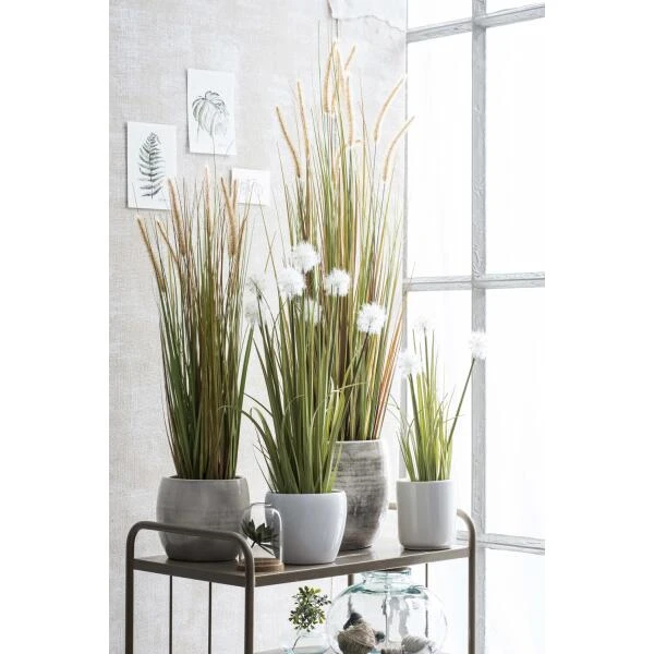 Kunstplant Pluimgras Dogtail In Pot - 45 × 120 Cm 5 Kunstplant Pluimgras Dogtail In Pot - 45 × 120 Cm - Afbeelding 3