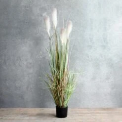 Kunstplant Pluimgras Foxtail In Pot - 45 × 80 Cm 11 Kunstplant Pluimgras Foxtail In Pot - 45 × 80 Cm -Oasis Winkel kunstplant pluimgras 81 x 45 cm 1633944506 3 600