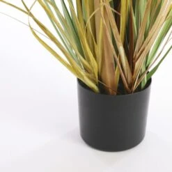 Kunstplant Pluimgras Foxtail In Pot - 45 × 80 Cm 13 Kunstplant Pluimgras Foxtail In Pot - 45 × 80 Cm -Oasis Winkel kunstplant pluimgras 81 x 45 cm 1633944507 5 600