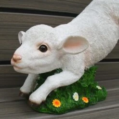 Lam Springend 7 Lam Springend -Oasis Winkel lam springend 1570728692 2 600