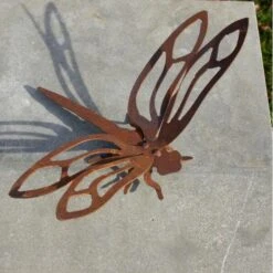 Libel - Decoroest 6 Libel - Decoroest -Oasis Winkel libel decoroest 1520869621 2 600