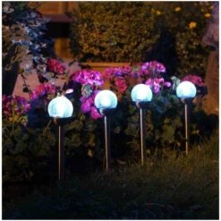 Lichtbol Met Grondpin - Op Zonne-energie - 6 × 35 Cm 7 Lichtbol Met Grondpin - Op Zonne-energie - 6 × 35 Cm -Oasis Winkel lichtbol met grondpin solar 1615388937 3 600