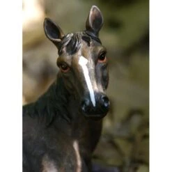 Liggend Paard Met Veulen - Levensecht 7 Liggend Paard Met Veulen - Levensecht -Oasis Winkel liggend paard met veulen levensecht 1484061235 3 600