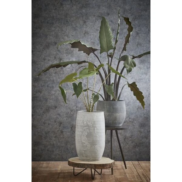 MICA Pia Boomstam Bijzettafel - Ø 40 × 14 Cm 3 MICA Pia Boomstam Bijzettafel - Ø 40 × 14 Cm - Afbeelding 2