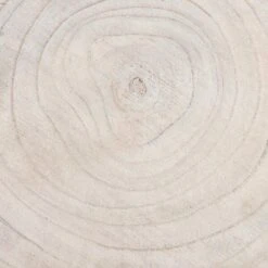 MICA Pia Boomstam Bijzettafel - Ø 40 × 14 Cm 10 MICA Pia Boomstam Bijzettafel - Ø 40 × 14 Cm -Oasis Winkel mica pia bijzettafel 40 x 14 cm 1669890379 5 600