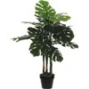 Kunstplant Monstera Hoog In Pot - 75 × 100 Cm 1 Kunstplant Monstera Hoog In Pot - 75 × 100 Cm -Oasis Winkel monstera in pot 70 x 100 cm 1539337898 2 600