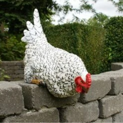 Nieuwsgierige Kip Tuinbeeld -Oasis Winkel nieuwsgierige tafelkip 1568377839 3 600