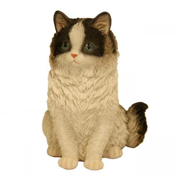 Prachtig Katje - Beeld 3 Prachtig Katje - Beeld